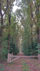 Heino - Wijhe · Roots Natuurpad etappe 15