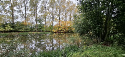 Ganderpad Gaanderen