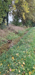 Ganderpad Gaanderen