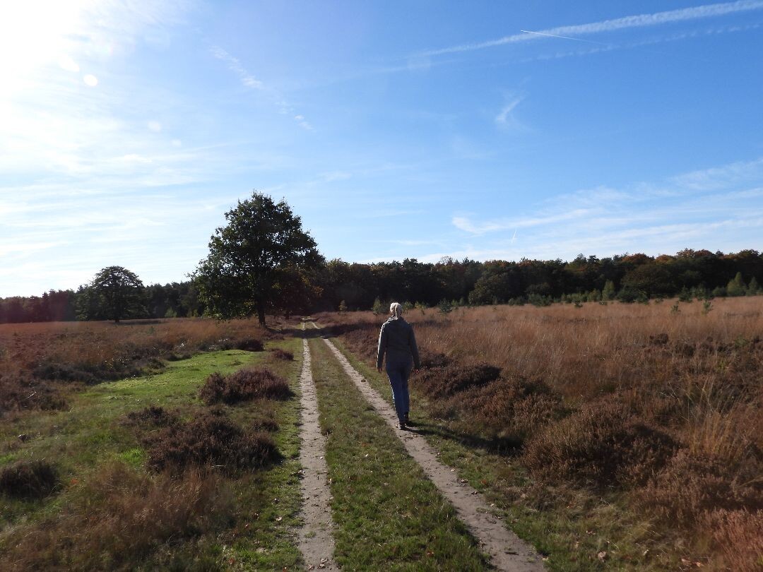 Wandelroute Schapenpark