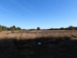 Wandelroute Schapenpark