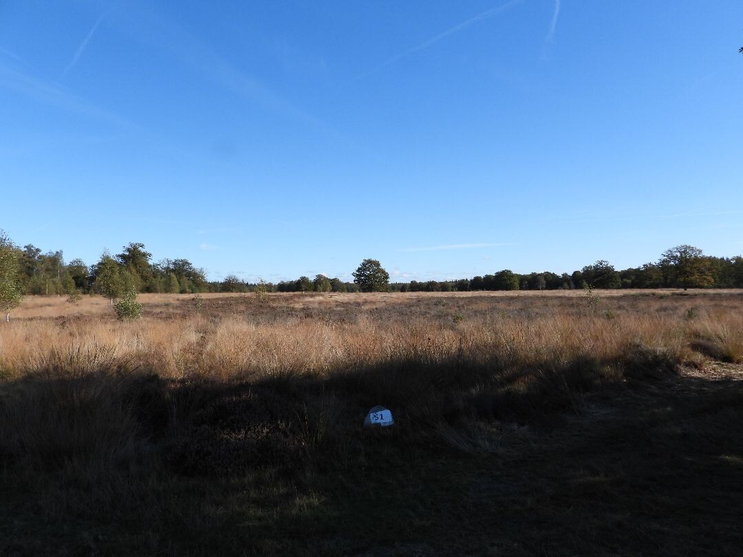 Wandelroute Schapenpark