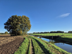 Tilligte - Neuenhaus · Dinkelpad etappe 4