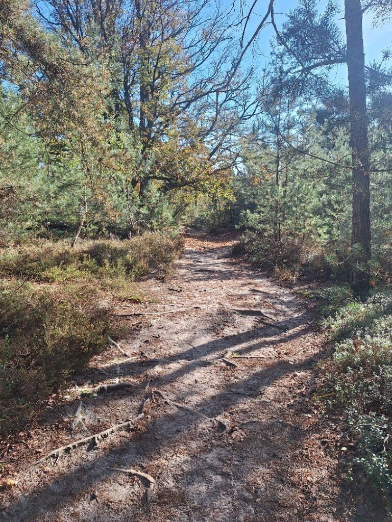 Hellendoorn - Holten · Pieterpad etappe 11