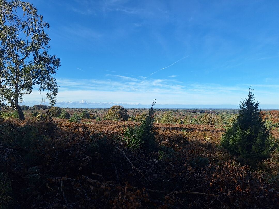 Hellendoorn - Holten · Pieterpad etappe 11