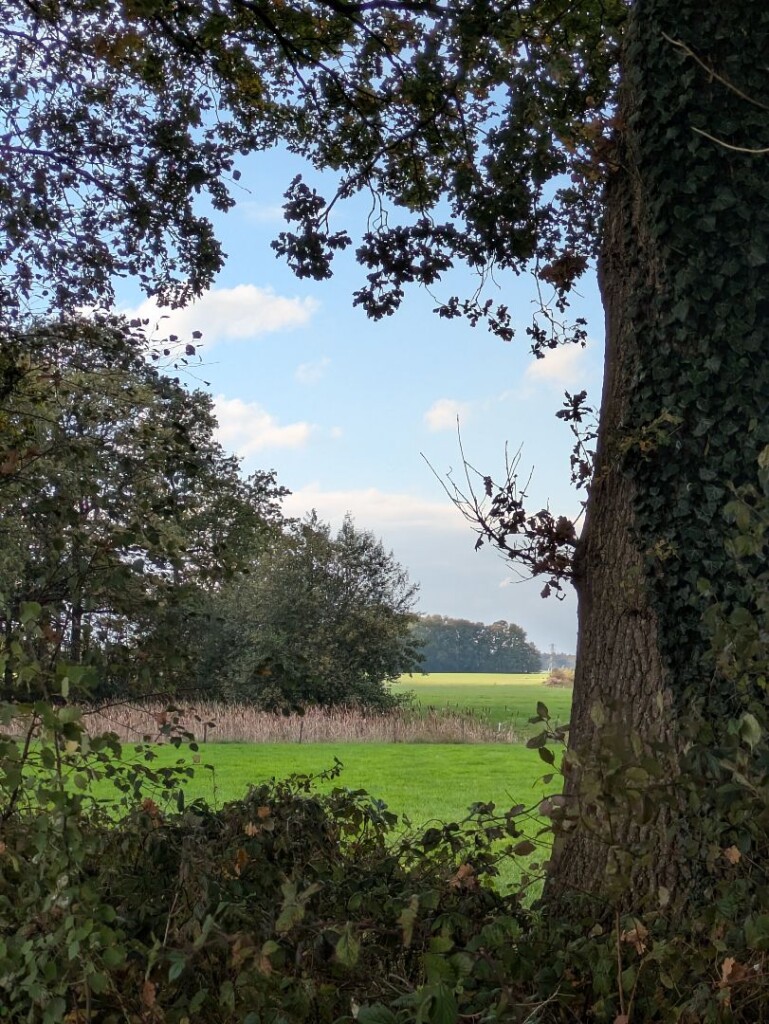 Zaterdagmiddag rondje