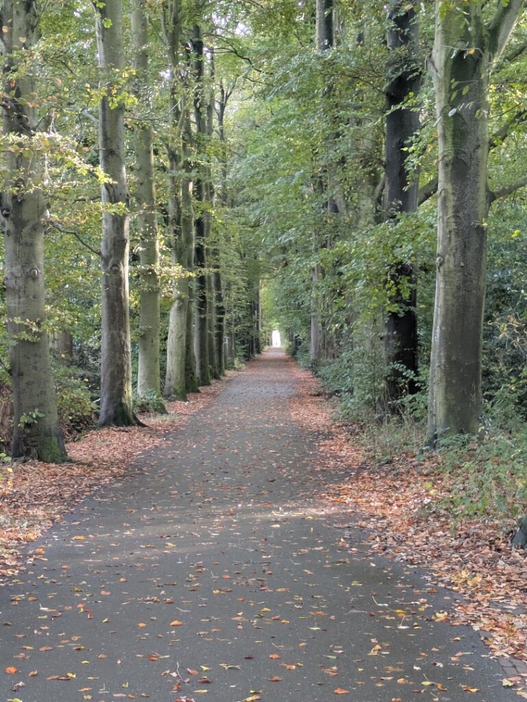 Zaterdagmiddag rondje