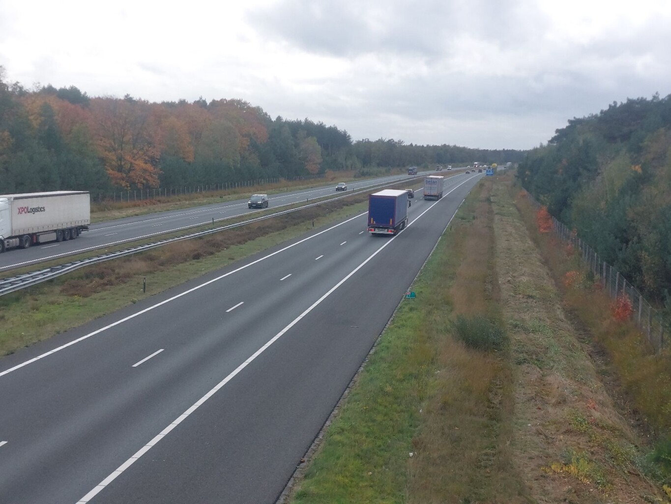 Wandelroute Bos- en heidewandeling De Pals 