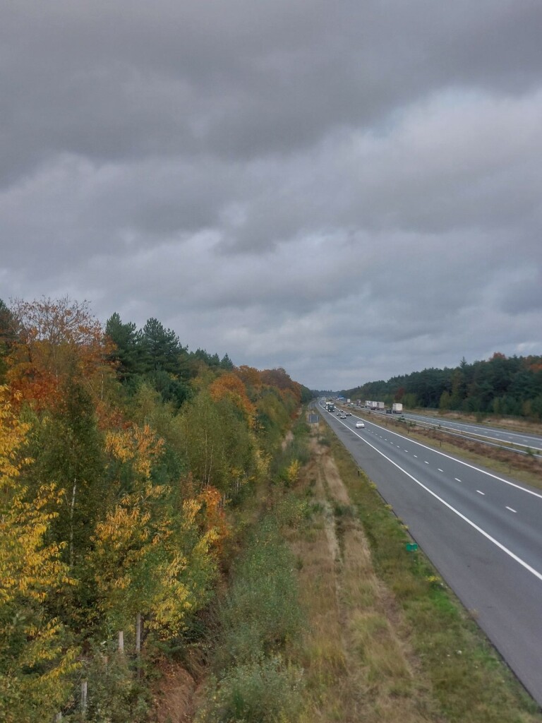 Wandelroute Bos- en heidewandeling De Pals 