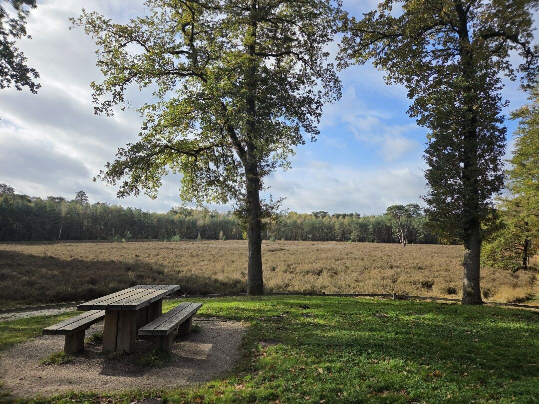 Vorden - Ruurlo · Trekvogelpad etappe 21