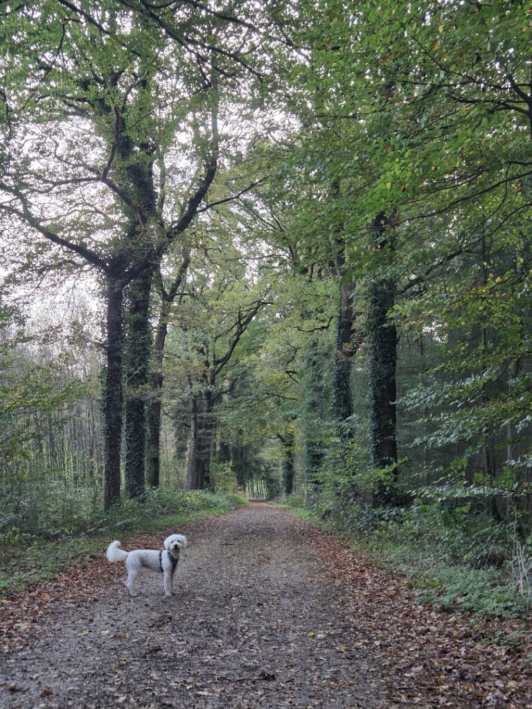 Vorden - Ruurlo · Trekvogelpad etappe 21
