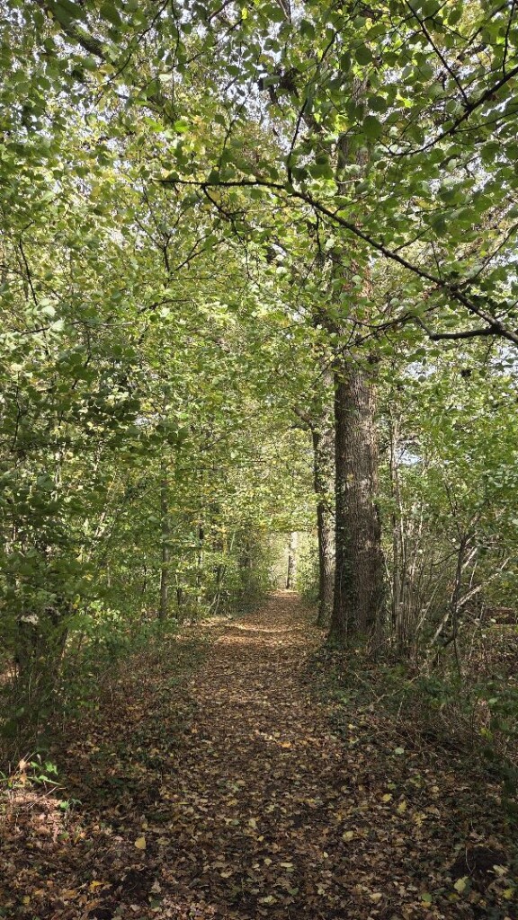 Vorden - Ruurlo · Trekvogelpad etappe 21