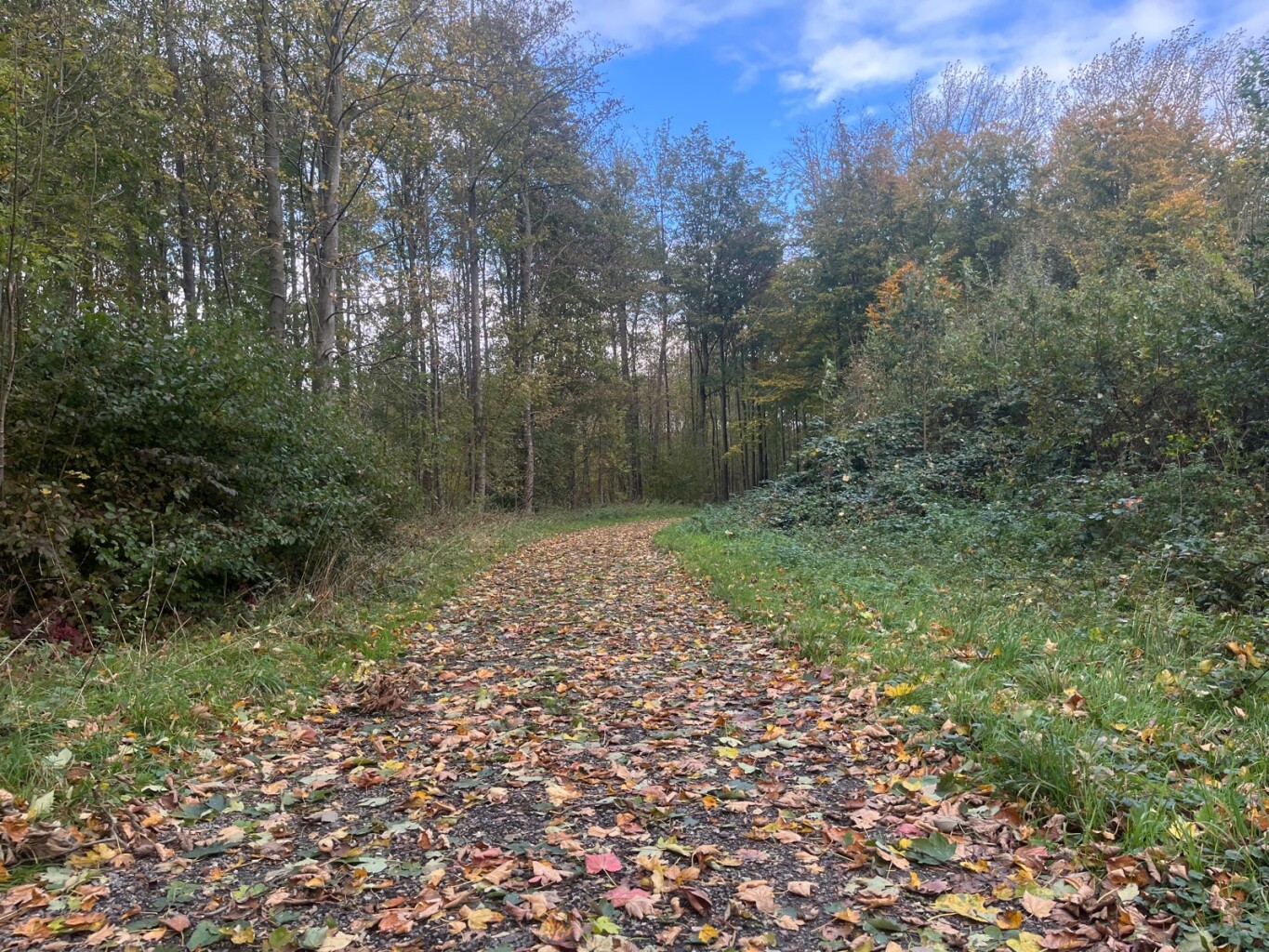 Wandelroute Ontarioroute