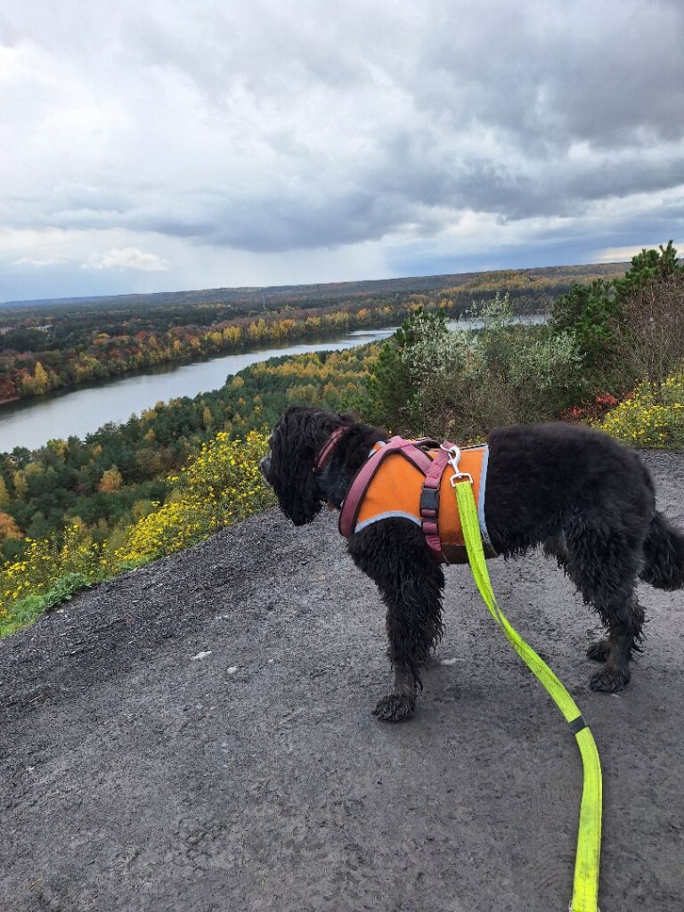 Station As - Salamander · Limburgse Mijnen etappe 2
