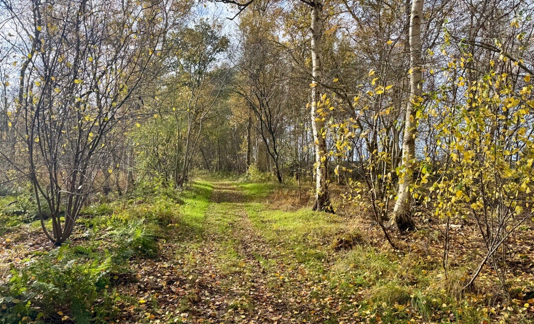 Weiteveen - Emlichheim · Noaberpad etappe 8