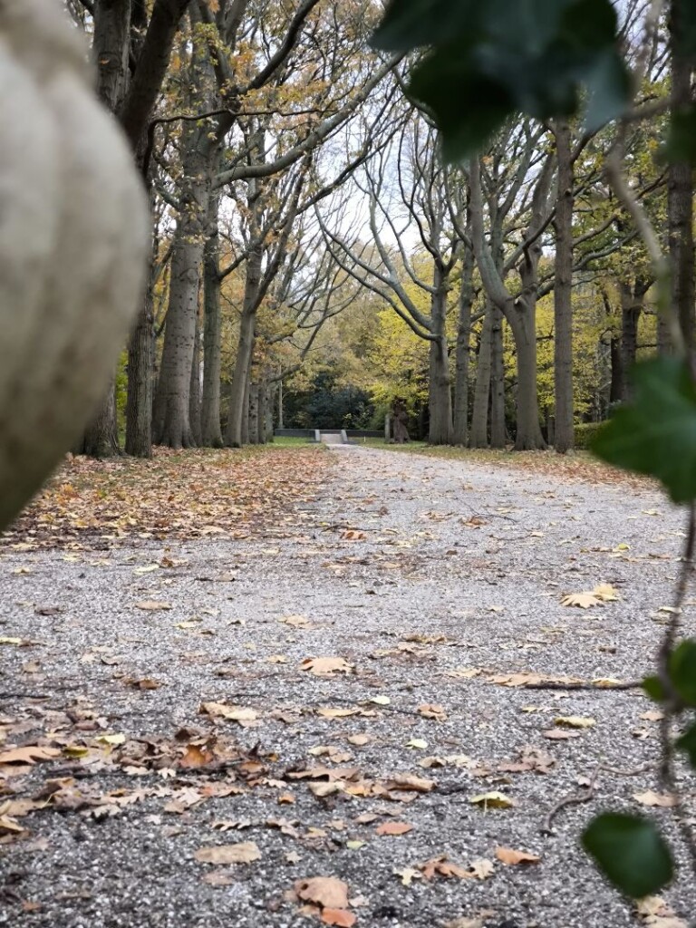 Buitenplaatsenroute (groen) 