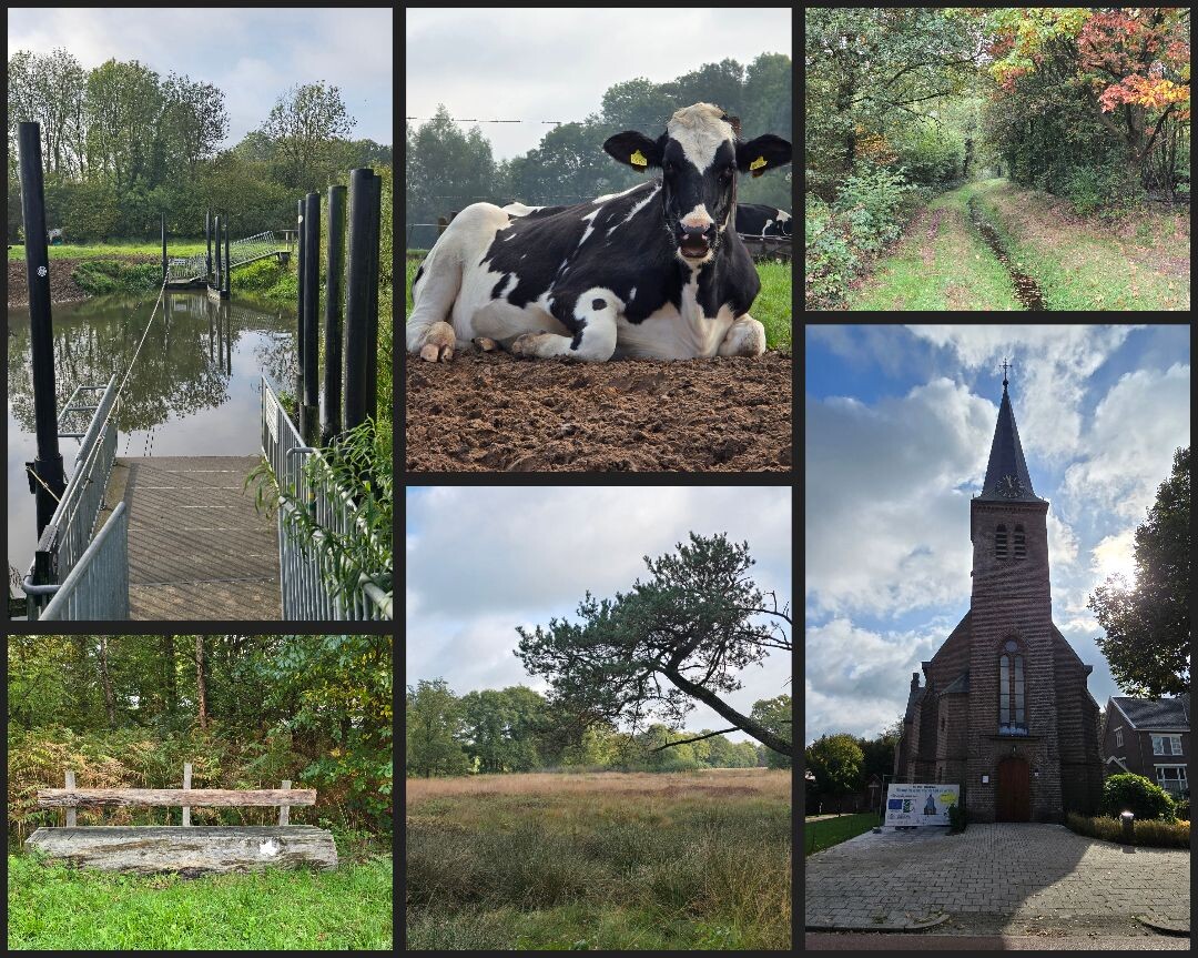 Reckense Markenpad Verlenger