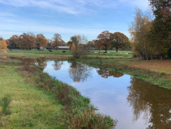 Tusveld - Groen