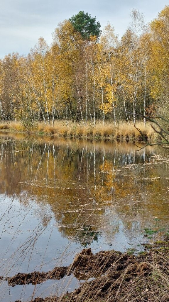 Hoenderloo - Arnhem · Roots Natuurpad etappe 20