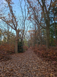 Den Bosch - Nuland · Camino Brabant etappe 1