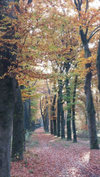 Arnhem - Doorwerth · Roots Natuurpad etappe 21