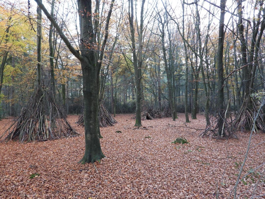 De Oldemeijer - Rood (Haarplasroute)