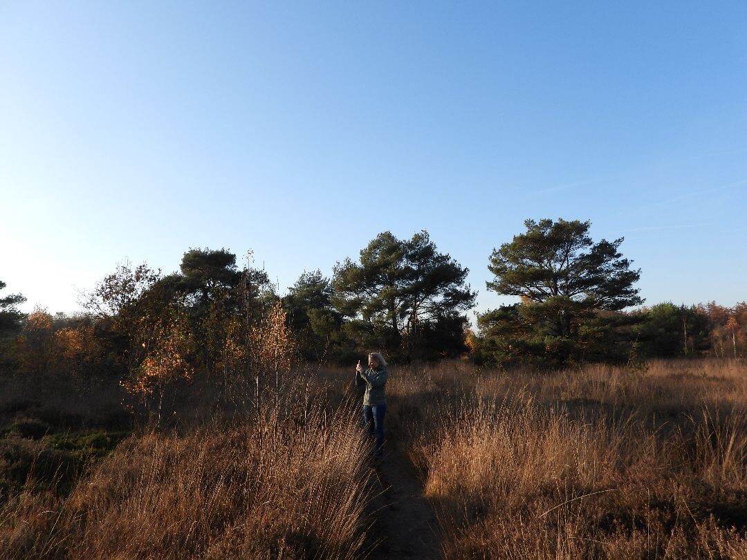 De Oldemeijer - Rood (Haarplasroute)