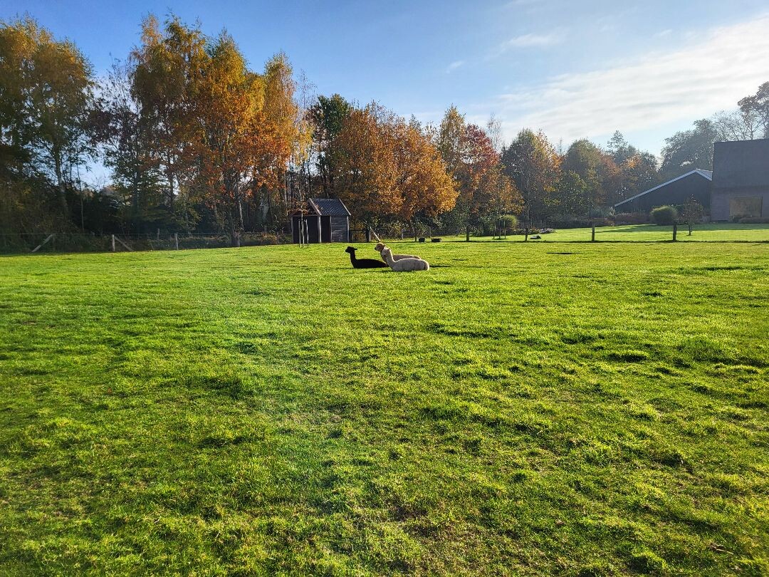 NS-wandeling Twentse beken