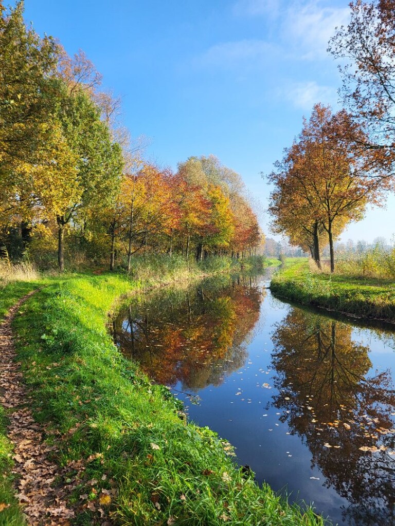 NS-wandeling Twentse beken