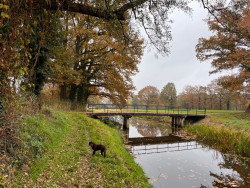 Bentelo - Groen