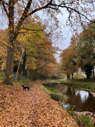 Bentelo - Groen
