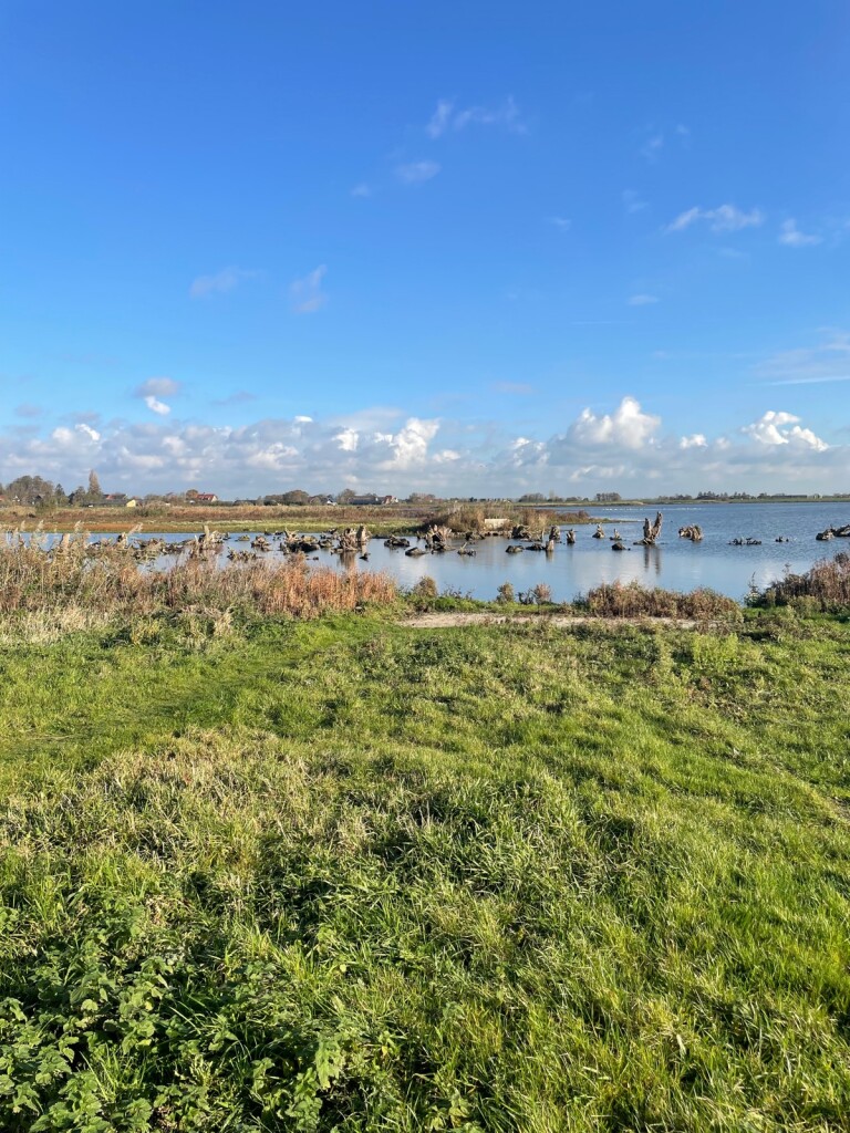 Nieuwe driemanspolder