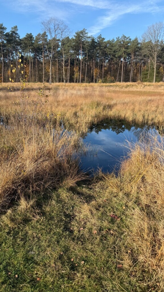 Wandelroute Ronde Huis