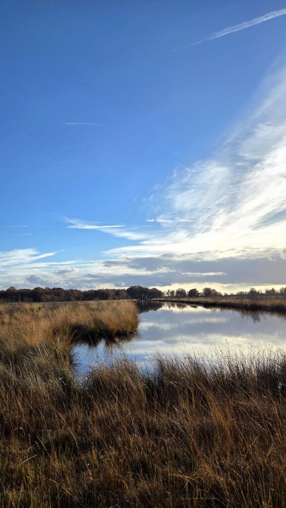 Vogelrondje Bargerveen