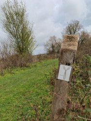 Nijmegen - Beek · Walk of Wisdom etappe 1