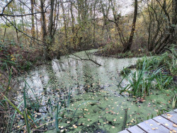 Nijmegen - Beek · Walk of Wisdom etappe 1