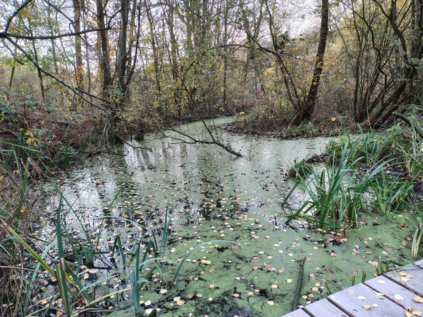 Nijmegen - Beek · Walk of Wisdom etappe 1