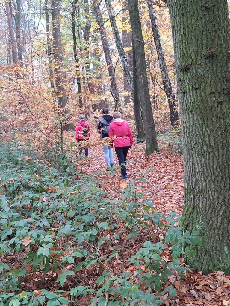 Millingen - Groesbeek · Pieterpad etappe 17