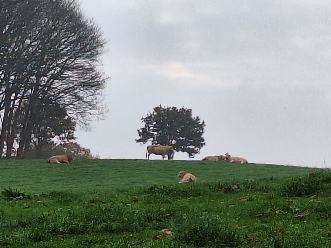 Millingen - Groesbeek · Pieterpad etappe 17