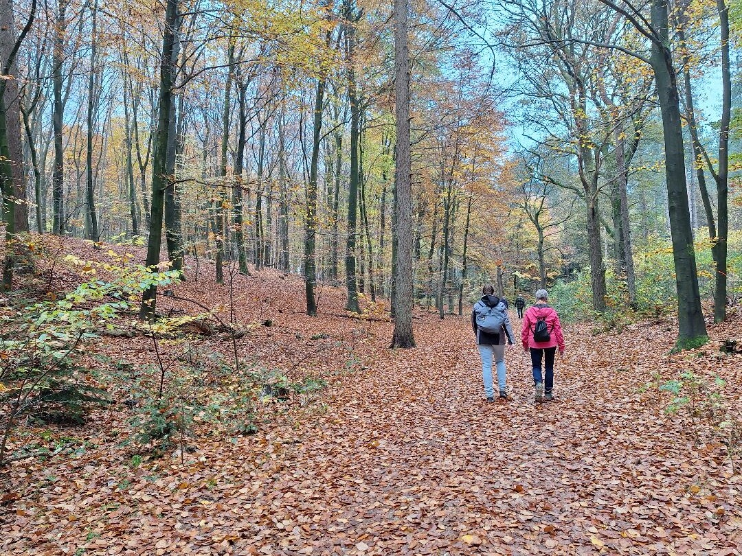 Groesbeek - Gennep · Pieterpad etappe 18