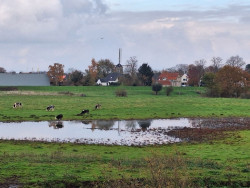 Groesbeek - Gennep · Pieterpad etappe 18