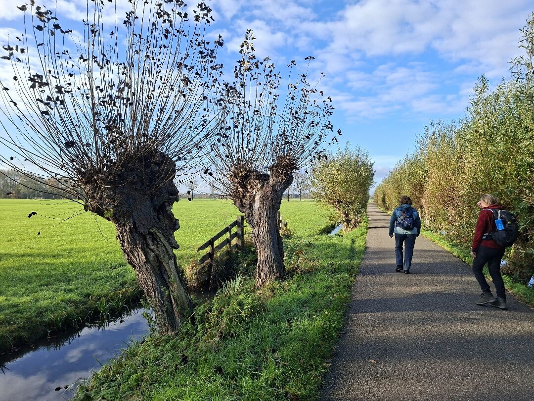 Nieuwer ter Aa - Woerden station · Floris V-pad etappe 4