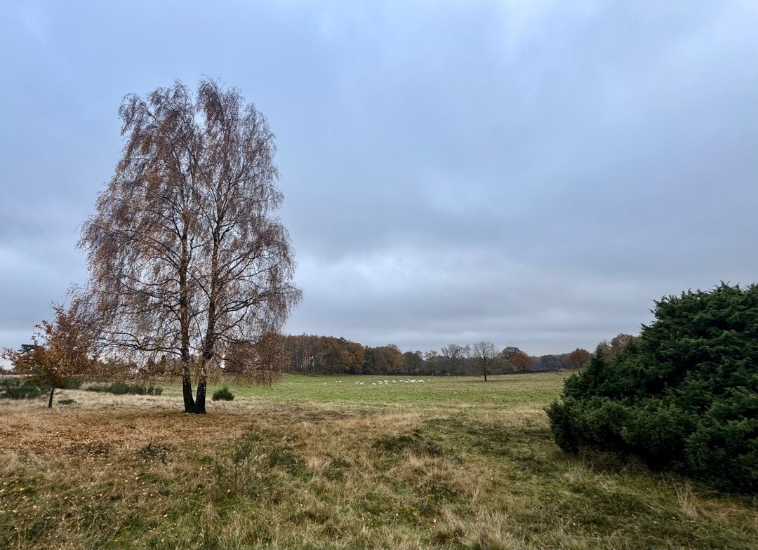 Esche - Hesingen · Noaberpad etappe 10