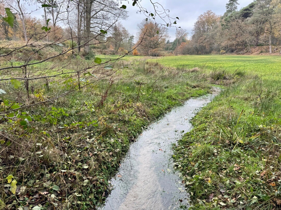 Hesingen - Rossum · Noaberpad etappe 11