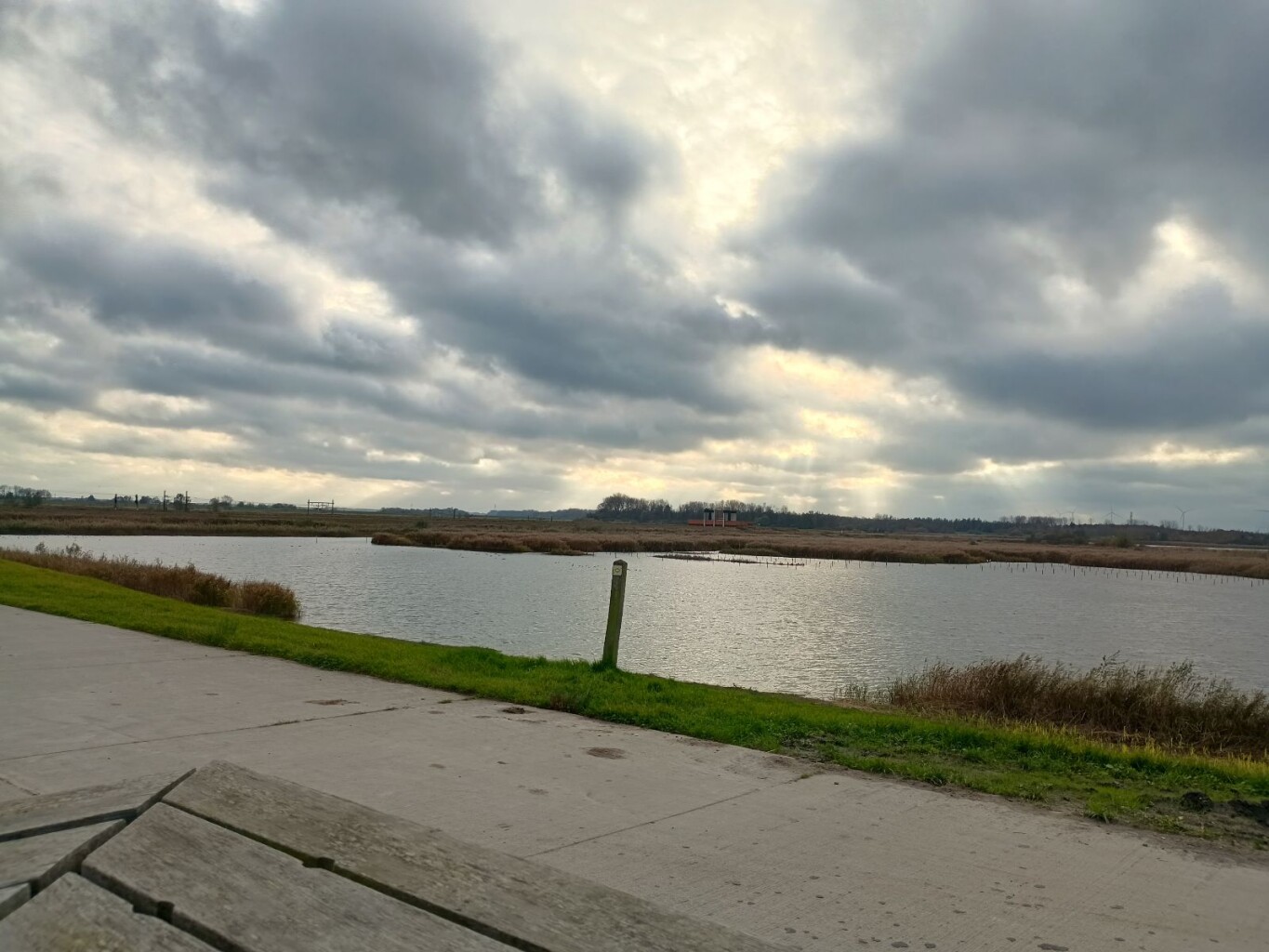 Rondje Reeve langs Cellebroedersweg