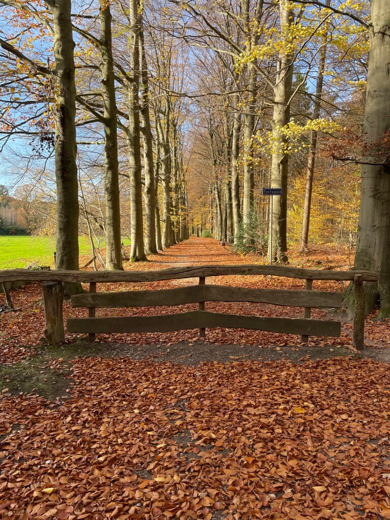 Overijssels Havezatenpad