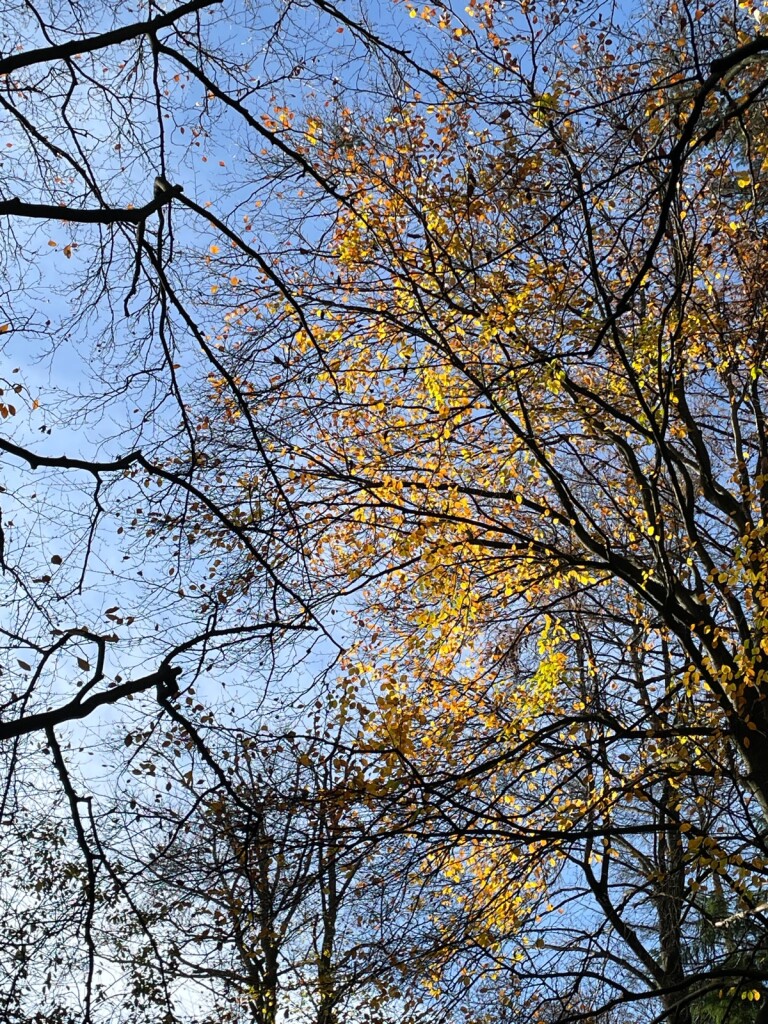 Overijssels Havezatenpad