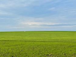 Hesingen - Rossum · Noaberpad etappe 11
