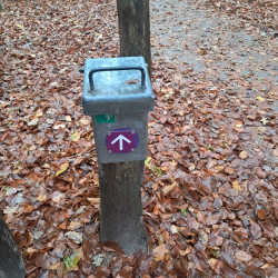 Wandelroute Heide en Vennen