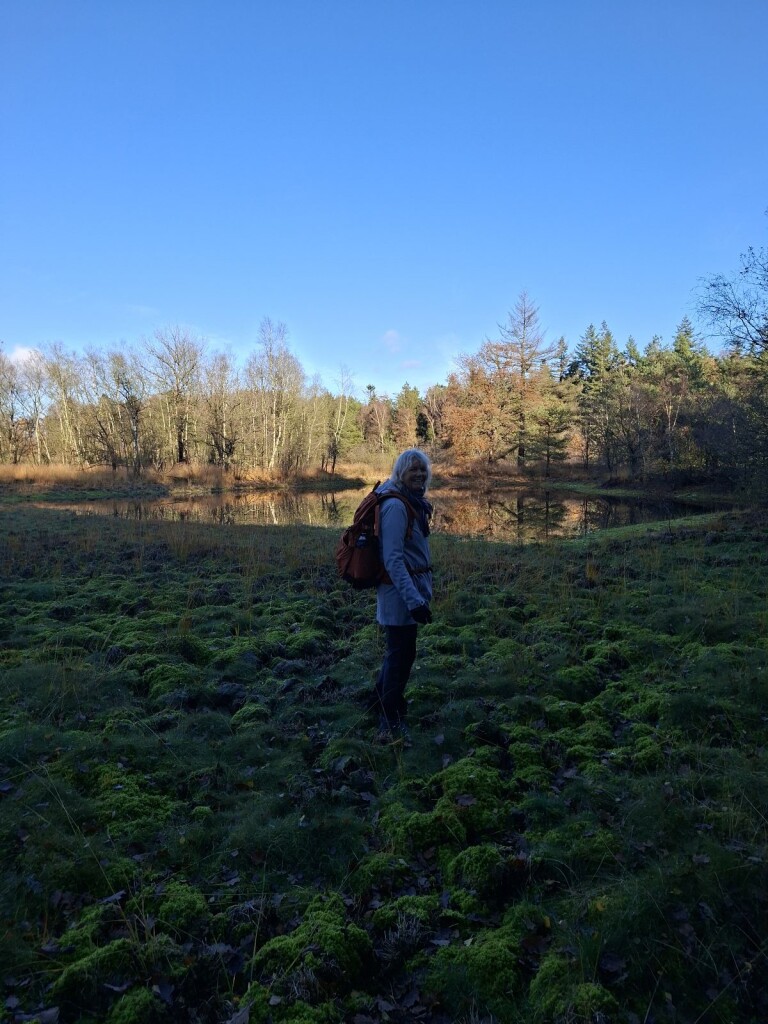 Was geweldige boswandeling